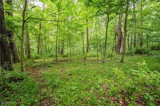 6991 Township Road 555, Holmesville, OH 44633