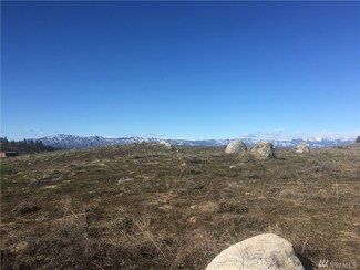 0 Xx-1 Valley Ridge Rd Unit 1280646, Brewster, WA 98812