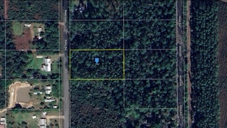 10240 Baylor Ave, Hastings, FL 32145