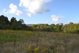 0 Tyree Rd, Trout, WV 24991