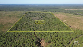 25001 Highway 112, Bay Minette, AL 36507