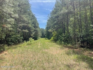 62 Live Oak, Elizabethtown, NC 28337