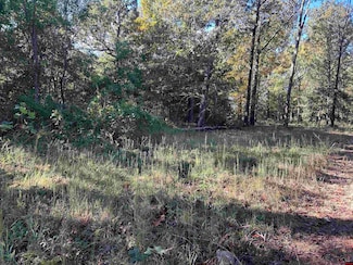 007-13956-000 Drillers Rd, Mountain Home, AR 72653