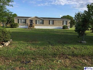 1413 Madania Dr, Dillon, SC 29536