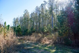 0 Wagontong Rd Unit 469595, Wagener, SC 29164