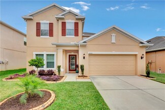 20222 Autumn Fern Ave, Tampa, FL 33647