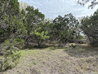 295 Restless Wind, Canyon Lake, TX 78070