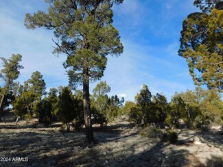 1932 Elk Rd, Heber, AZ 85928