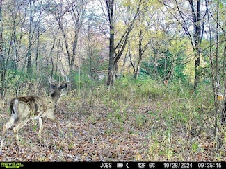 334 State Route 314, Centerburg, OH 43011