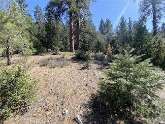 15028 Chestnut Ct, Pine Mountain Club, CA 93225