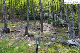 Lot 61 Wildcat Wilderness Pkwy, Deep Gap, NC 28618
