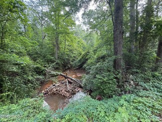 0 Zellner Rd Unit Lot 16 179734, Forsyth, GA 31029