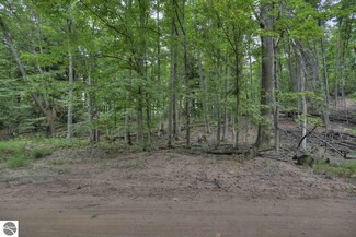 0000 Buck Rd, Williamsburg, MI 49690