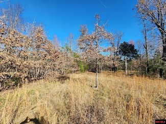 001-04389-000 River Hill Rd, Glencoe, AR 72539