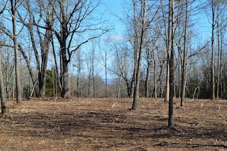 Lots 16/17 Pecks Dr N, Harrison, AR 72601