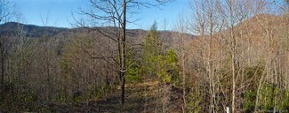 462 Feather Falls Trail Unit 12, Old Fort, NC 28762