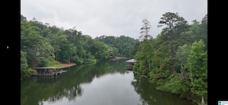 1733 Mimosa Point Rd Unit 8, Rockford, AL 35136