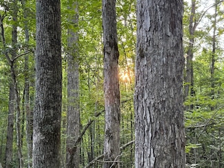 Tallapoosa Farm Rd, Camp Hill, AL 36850