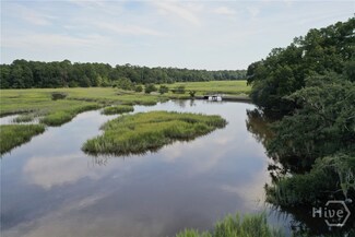 2061 Belle Island Rd, Richmond Hill, GA 31324