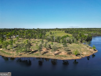 1009 Walter Wells Rd, Buena Vista, GA 31803
