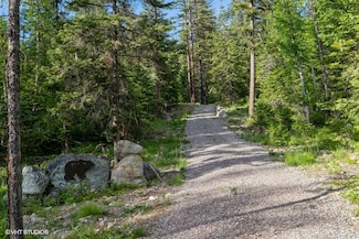 19132 High Road Ln, Bigfork, MT 59911