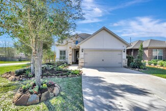 103 Wild Wisteria Ln, Montgomery, TX 77316