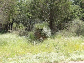 Lot 352 Rosehill Dr, Granite Shoals, TX 78654