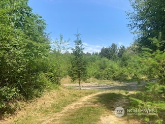 0 XX Connor Rd SE, Centralia, WA 98531