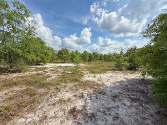 Tbd Carroll Rd Unit LotWP001, Latta, SC 29565