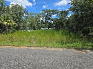 216 Emerald Lp Way, Ocala, FL 34472