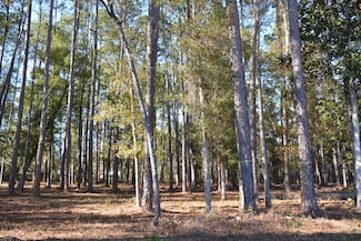 TBD Us-331 Business, Freeport, FL 32439