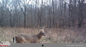 0 U S 431 Unit 22829812, Drakesboro, KY 42321