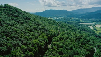 207 Shake Hollow Dr, Rabun Gap, GA 30568