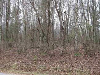4 Black Forest Rd SE, Floyd, VA 24091