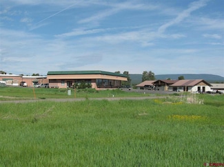41 Greenbrier Dr, Pagosa Springs, CO 81147