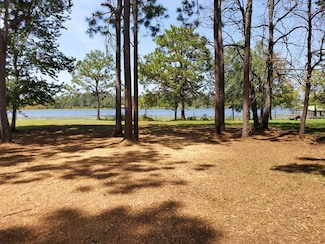 Lot 1060 Malone Drive Loop, Donalsonville, GA 39845