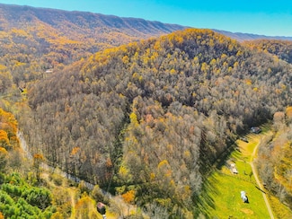 TBD Indian Paint Rd, Pounding Mill, VA 24637