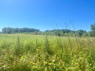 6576 Us Highway 31, Berrien Springs, MI 49103