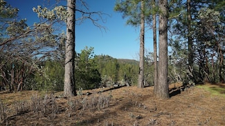 660 Chief Kelly Dr, Nevada City, CA 95959