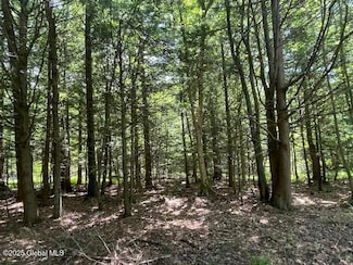 204 Bauer Rd, Averill Park, NY 12018