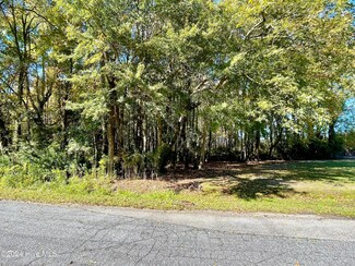 1239 Chance, Robersonville, NC 27871