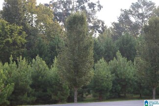 6026 Parkview Trail Unit 310, Sylvan Springs, AL 35118