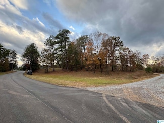 18917 Cattle Ranch Rd, Brookwood, AL 35444