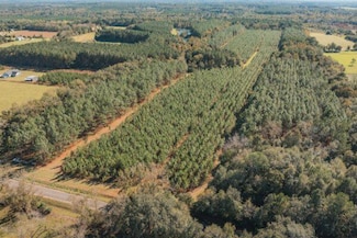 81.71 Ac Bold Springs Rd, Cairo, GA 39828