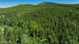 2 Kreiger Creek Rd, Careywood, ID 83809
