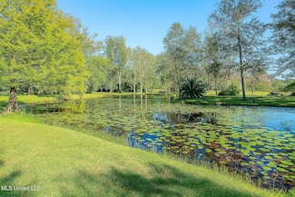 119 Ceasar Rd, Picayune, MS 39466