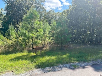140 Centerview Rd, Murray, KY 42071