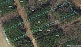0 Grandy Rd Unit 139347, Brodnax, VA 23920