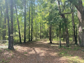 235 NE Ford Ct, Madison, FL 32344