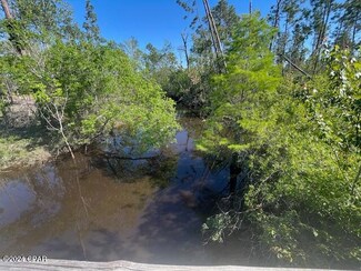 TBD Cr 386 N, Wewahitchka, FL 32465